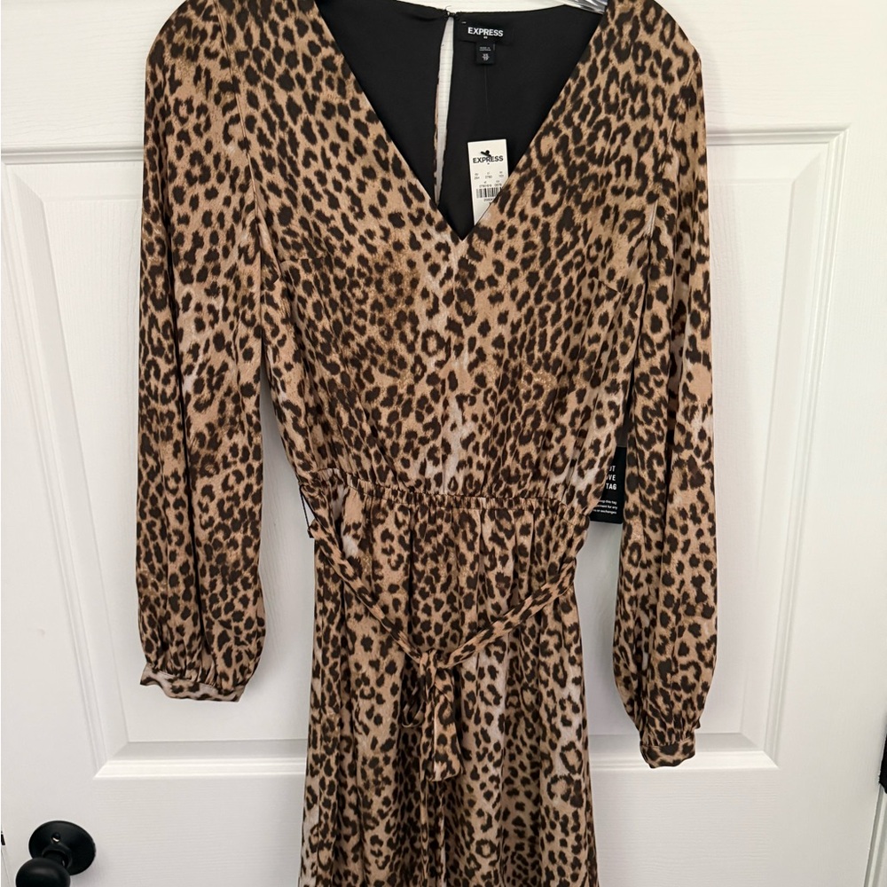 Express Long Sleeve Dress